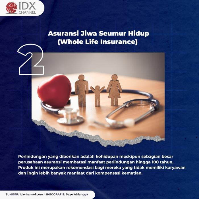 Cara Memilih Asuransi yang Tepat untuk Bisnis Anda - DidacticaHistoria Bagaimana Cara Memilih Asuransi Yang Tepat